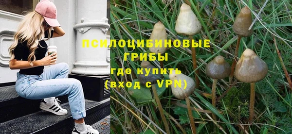прущие крисы Белокуриха