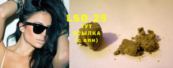 прущие крисы Белокуриха