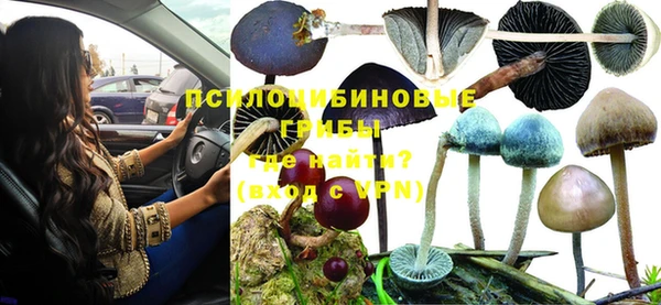 прущие крисы Белокуриха